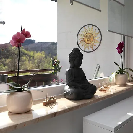 Appartement Sonnenblick Balkony - Wifi - New & Modern - - Niedersfeld *