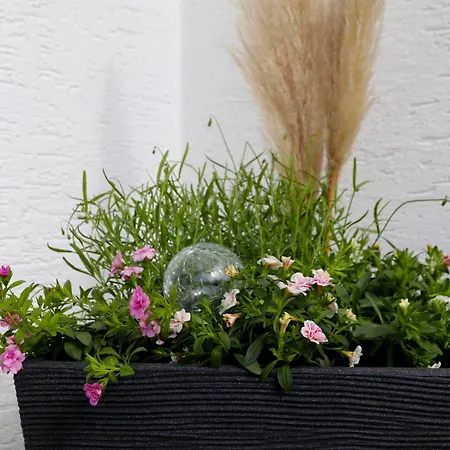 Sonnenblick Balkony - Wifi - New & Modern - - Niedersfeld * Winterberg