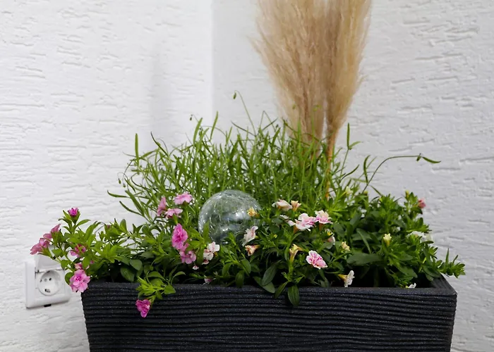 Sonnenblick Balkony - Wifi - New & Modern - - Niedersfeld * 빈터베르크