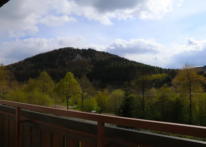 Sonnenblick Balkony - Wifi - New & Modern - - Niedersfeld 아파트